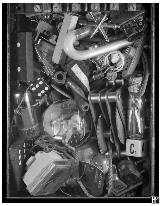 Quicksilver_Switch 5x7.jpg